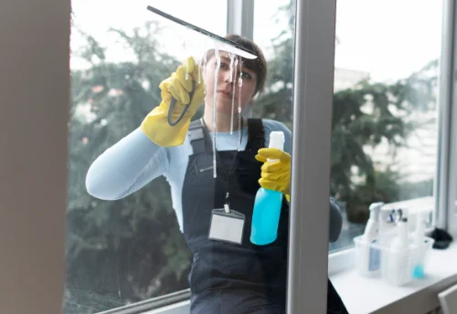 Nettoyage de vitres intérieures et extérieures à Thue et Mue